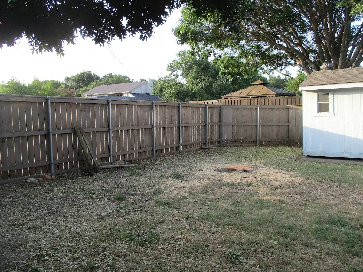 Cleared yard after professional tree removal in Roswell